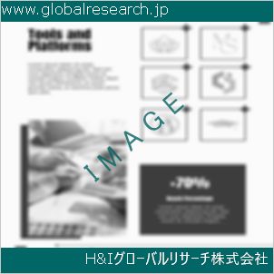 グローバルリサーチ調査資料のイメージ